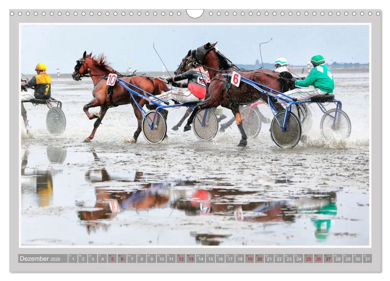 Bild: 9783457638958 | Pferde-Rennen auf Schnee und im Wasser (Wandkalender 2026 DIN A3...