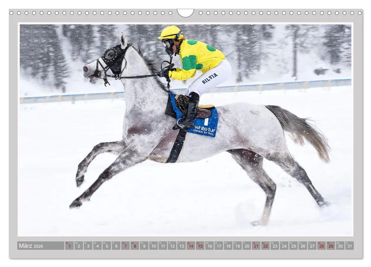 Bild: 9783457638958 | Pferde-Rennen auf Schnee und im Wasser (Wandkalender 2026 DIN A3...