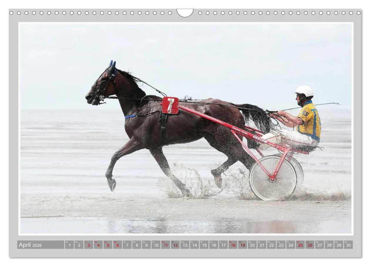 Bild: 9783457638958 | Pferde-Rennen auf Schnee und im Wasser (Wandkalender 2026 DIN A3...