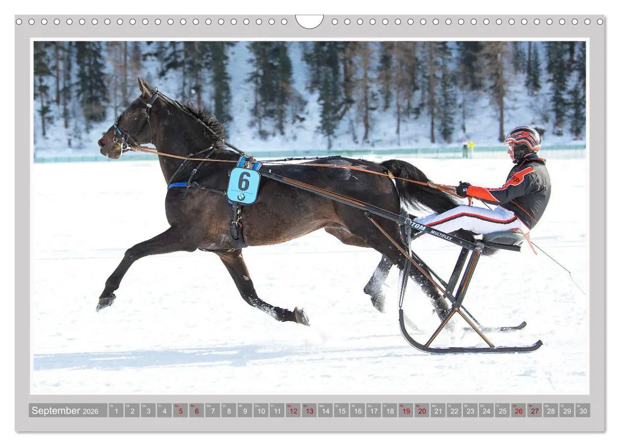 Bild: 9783457638958 | Pferde-Rennen auf Schnee und im Wasser (Wandkalender 2026 DIN A3...