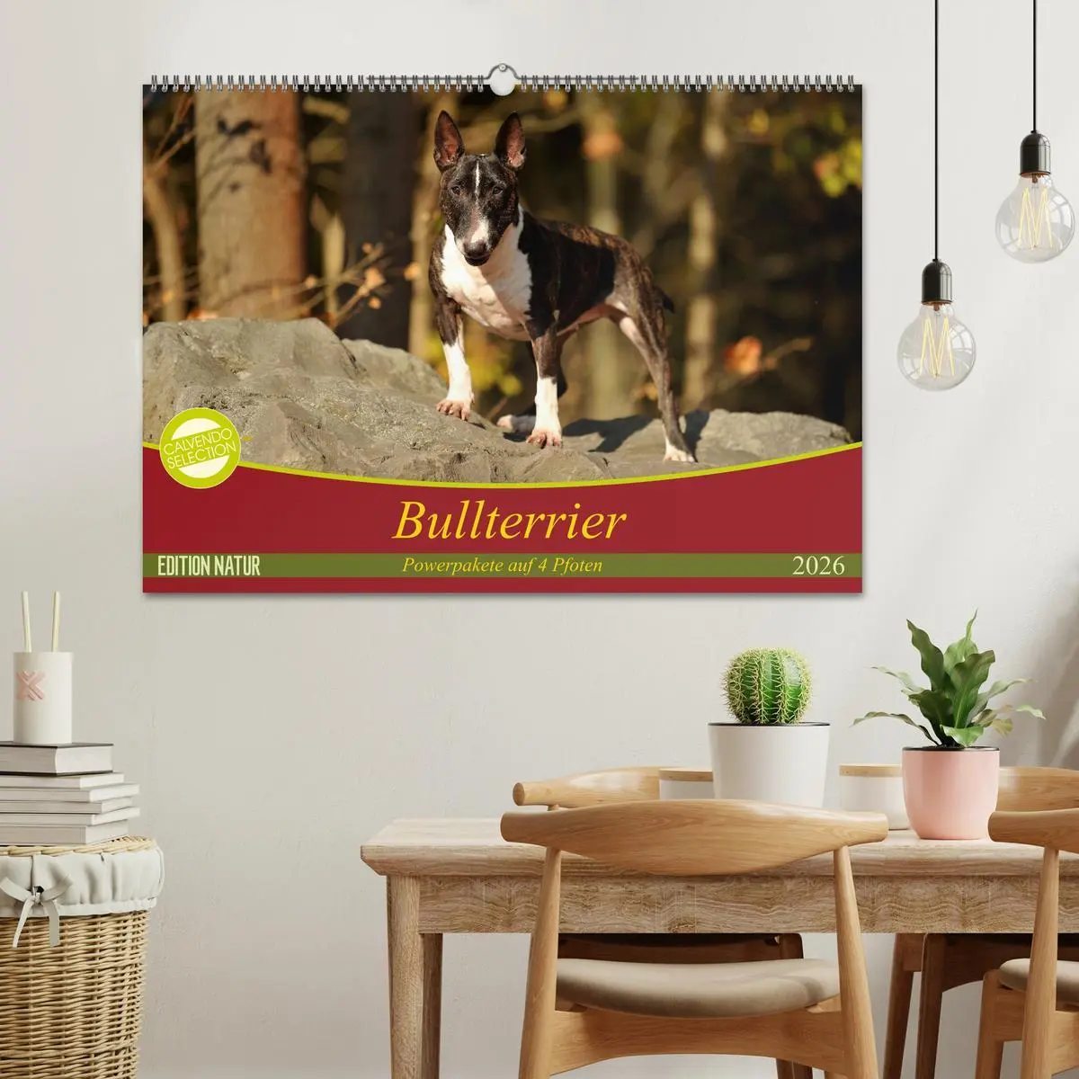 Bild: 9783457878958 | Bullterrier, Powerpakete auf 4 Pfoten (Wandkalender 2026 DIN A2...