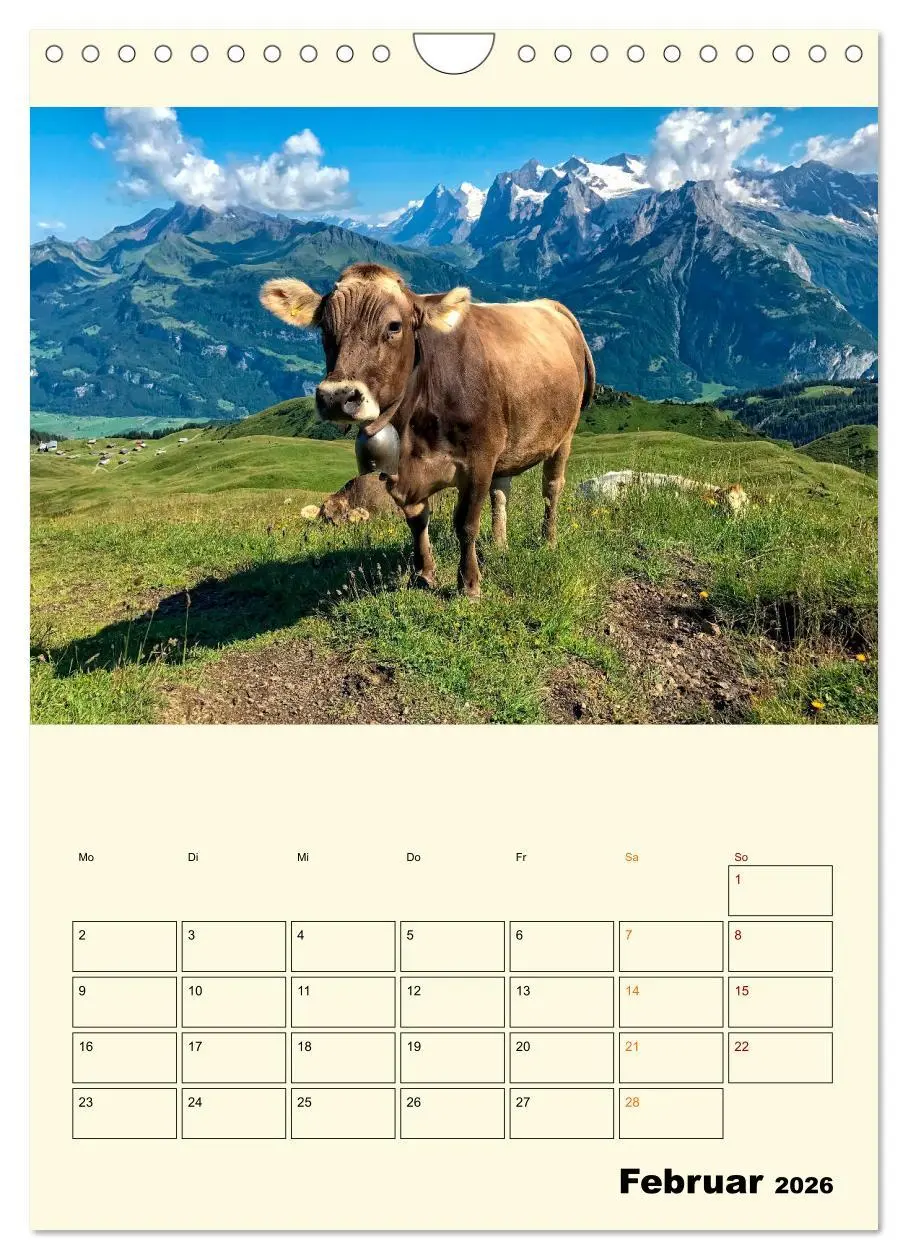 Bild: 9783516348958 | Glückliche Bergkühe (Wandkalender 2026 DIN A4 hoch), CALVENDO...