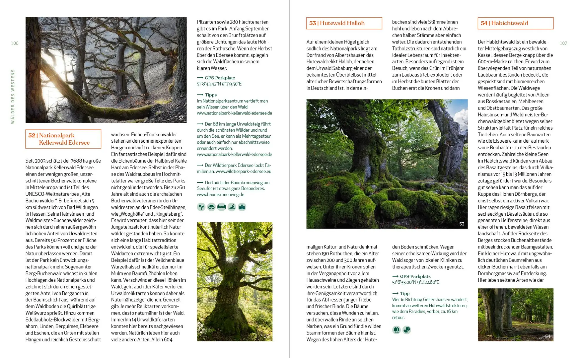Bild: 9783942048958 | Wild Guide Deutsche Wälder | Björn Nehrhoff von Holderberg | Buch