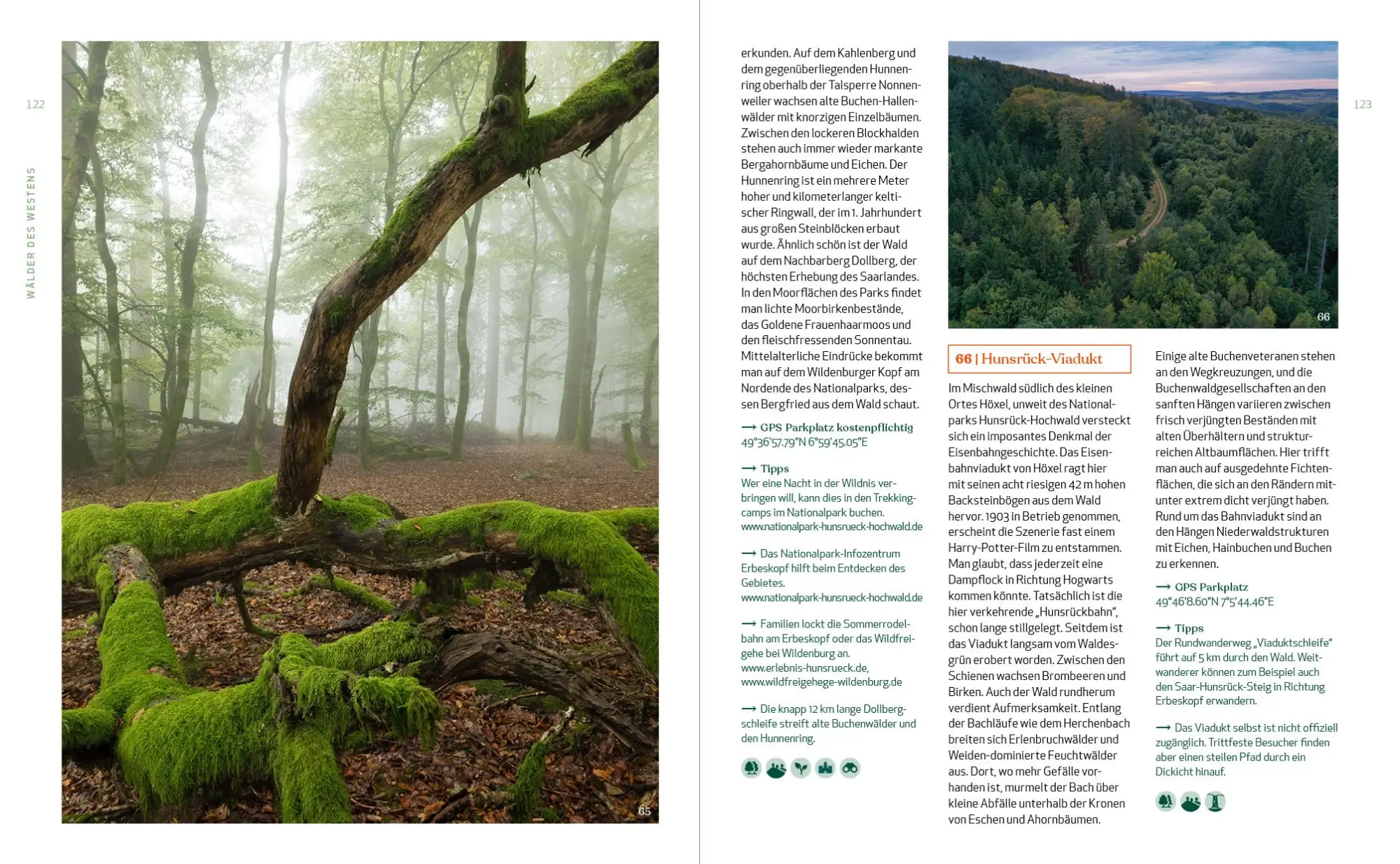 Bild: 9783942048958 | Wild Guide Deutsche Wälder | Björn Nehrhoff von Holderberg | Buch