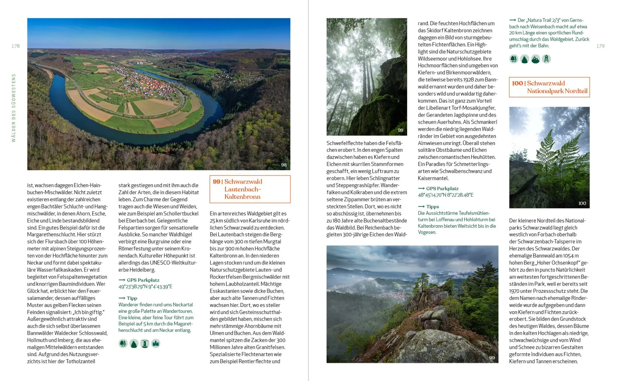 Bild: 9783942048958 | Wild Guide Deutsche Wälder | Björn Nehrhoff von Holderberg | Buch