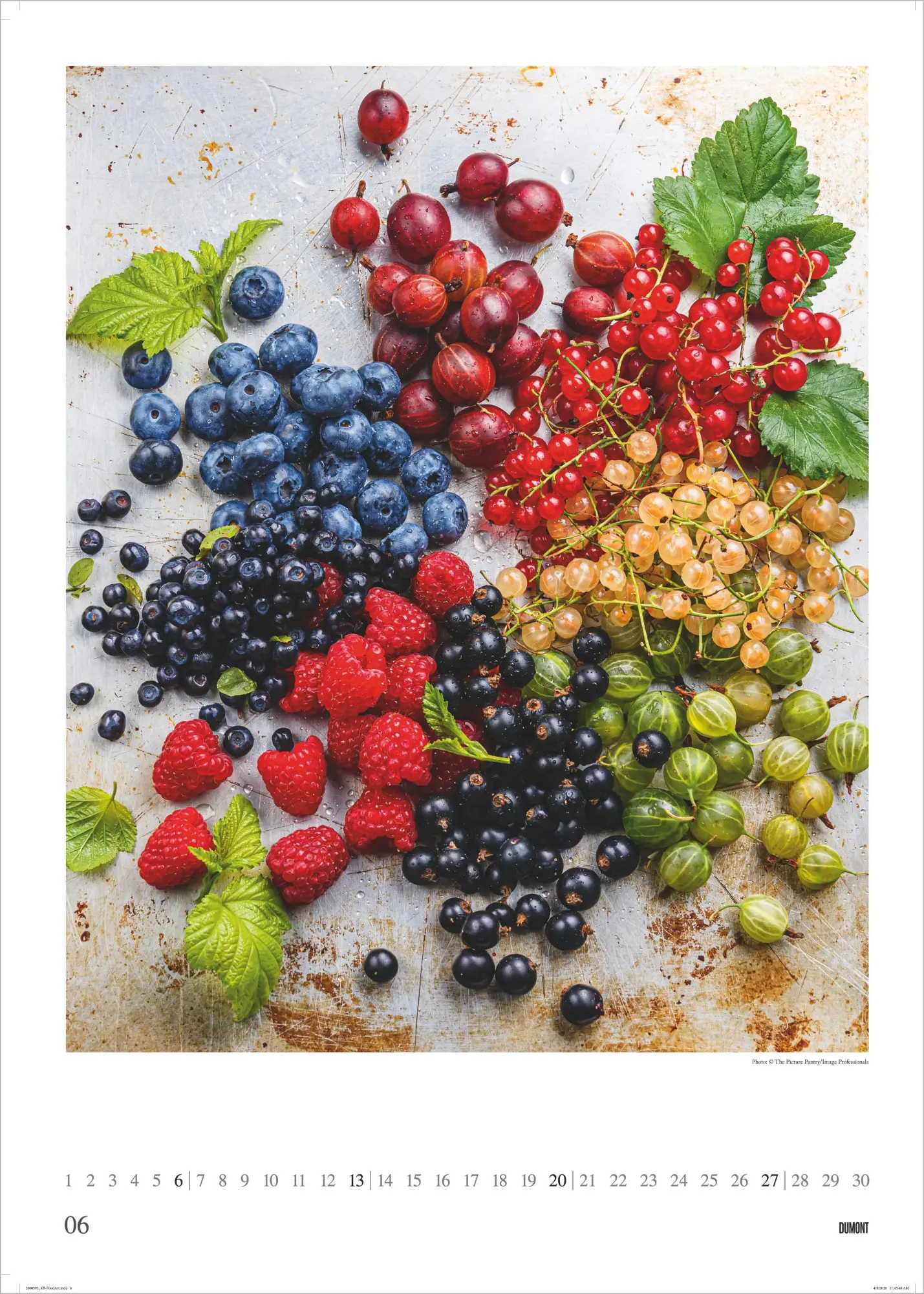 Bild: 4069095019058 | Food Art 2027 | Neumann Verlage GmbH &amp; Co KG | Kalender | 14 S. | 2027