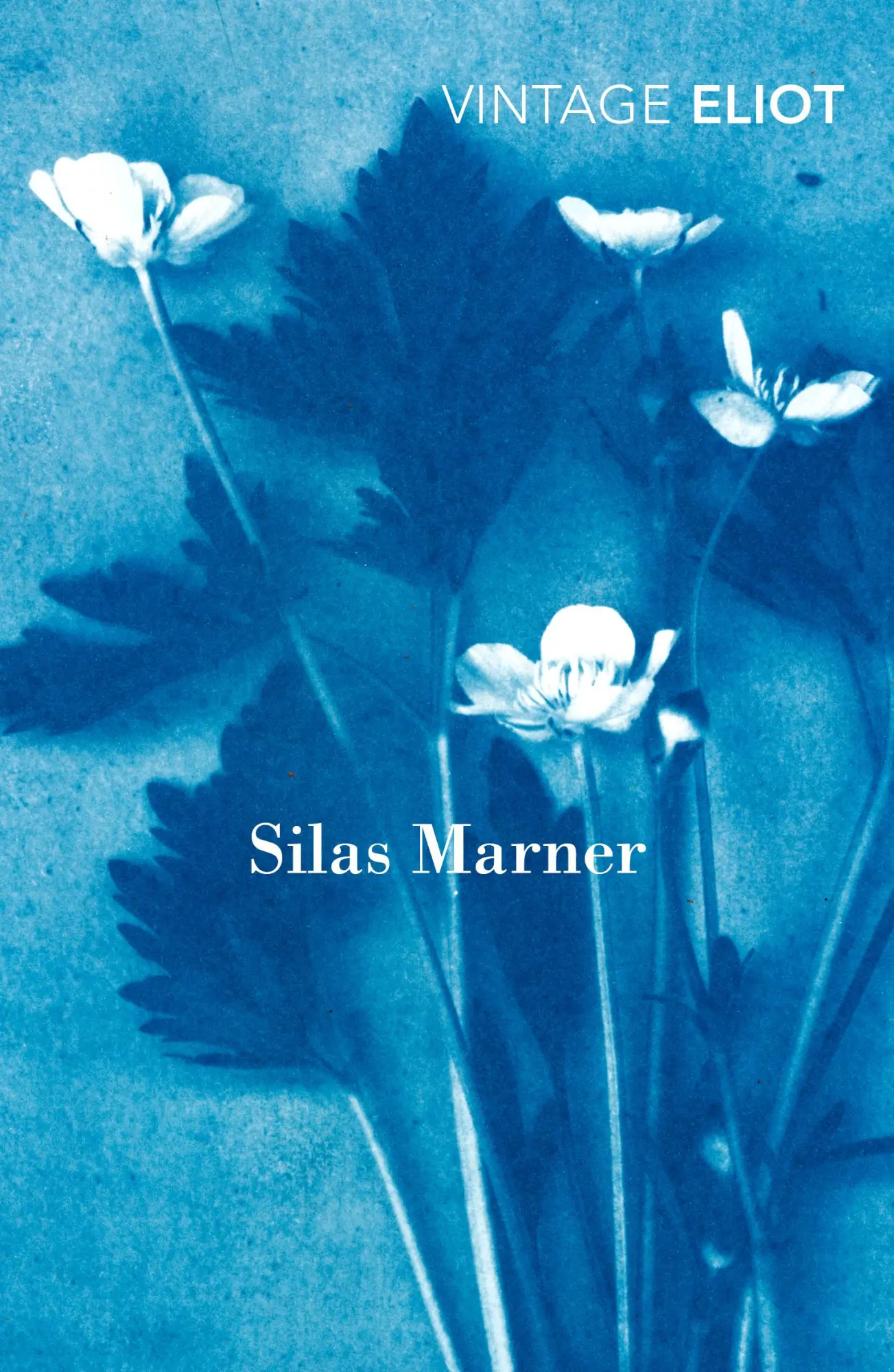 Cover: 9780099519058 | Silas Marner | The Weaver of Raveloe | George Eliot | Taschenbuch