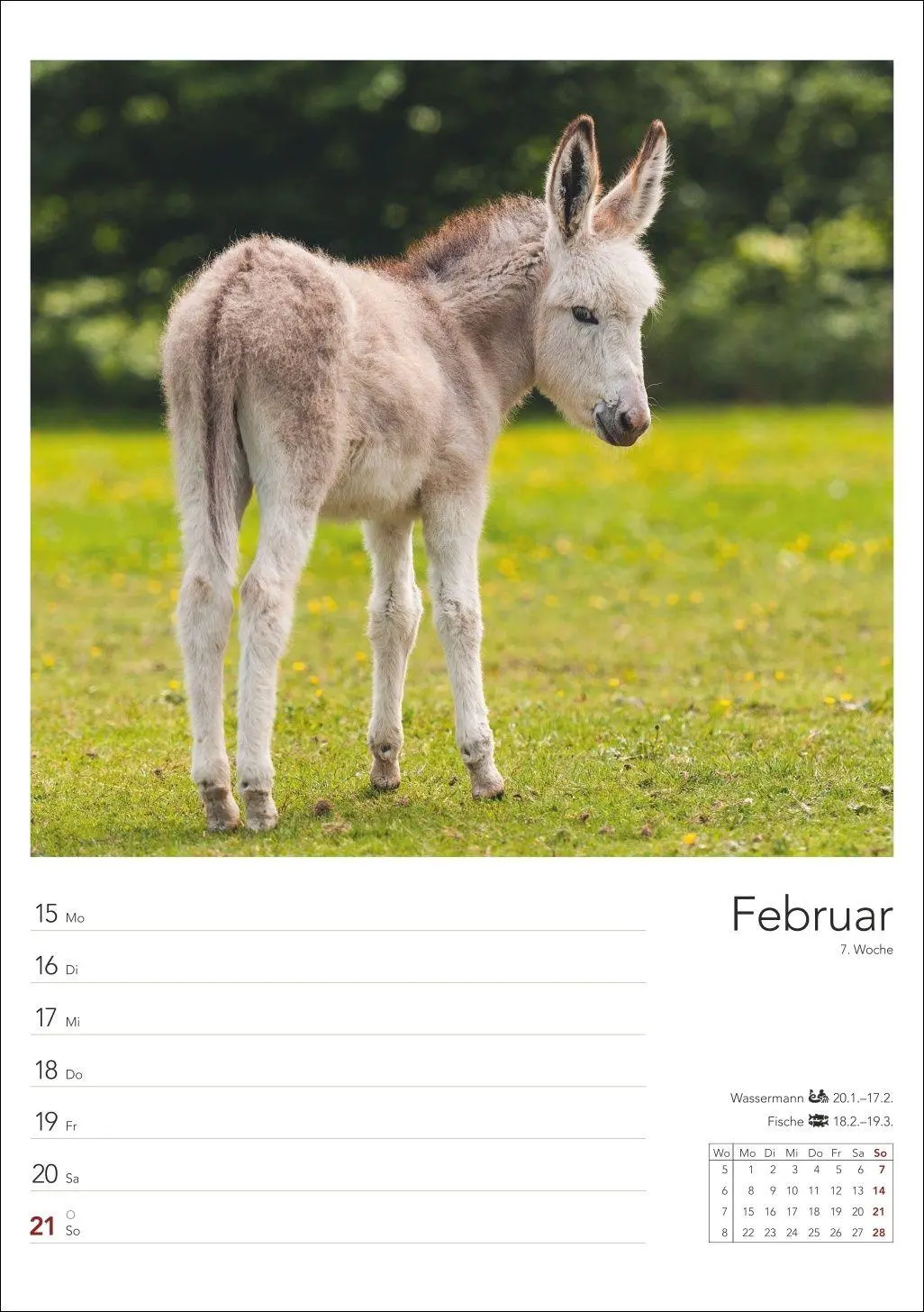 Bild: 9783840039058 | Landleben Wochenplaner 2027 | Harenberg | Kalender | Spiralbindung