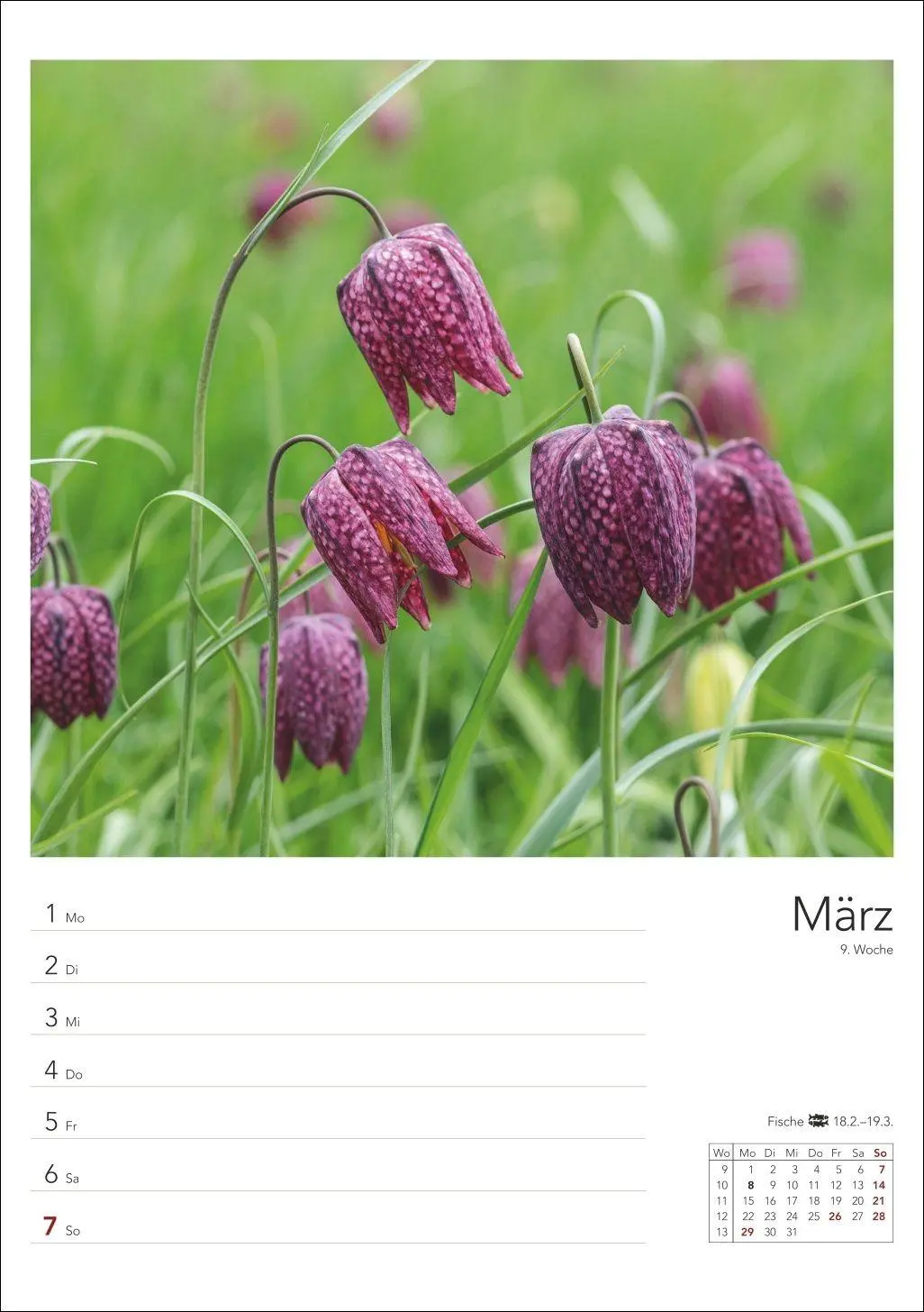 Bild: 9783840039058 | Landleben Wochenplaner 2027 | Harenberg | Kalender | Spiralbindung