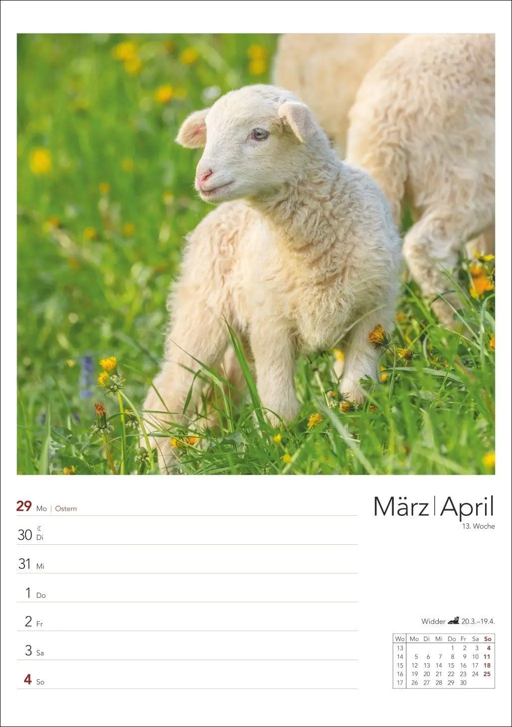 Bild: 9783840039058 | Landleben Wochenplaner 2027 | Harenberg | Kalender | Spiralbindung