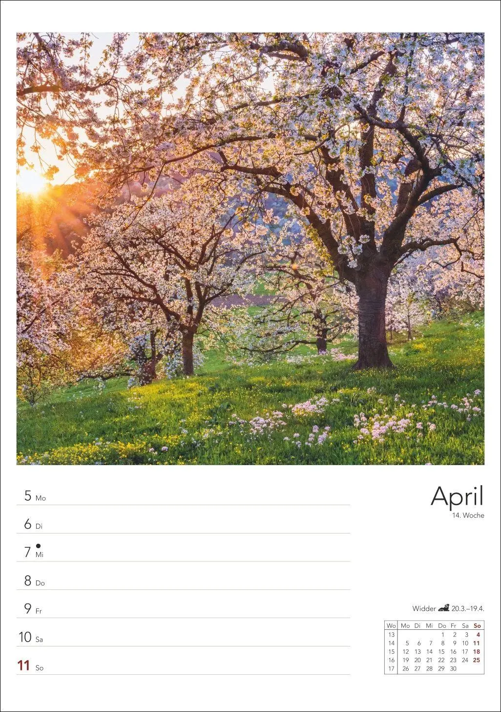Bild: 9783840039058 | Landleben Wochenplaner 2027 | Harenberg | Kalender | Spiralbindung