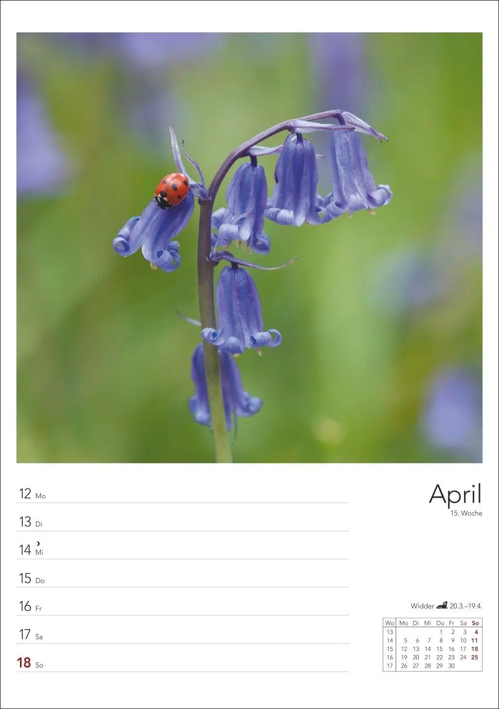 Bild: 9783840039058 | Landleben Wochenplaner 2027 | Harenberg | Kalender | Spiralbindung