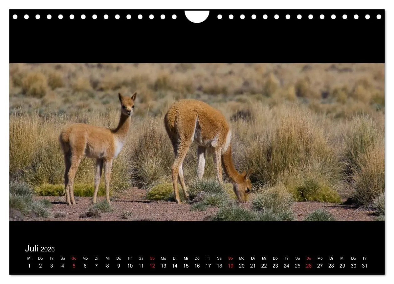 Bild: 9783516159158 | Peru &amp; Bolivien - Land der Inka (Wandkalender 2026 DIN A4 quer),...