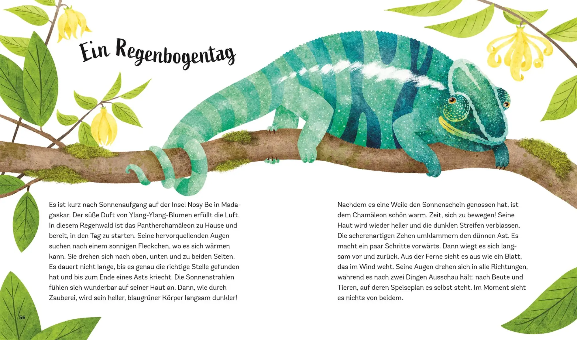 Bild: 9783831049158 | Zauber des Waldes | Alicia Klepeis | Buch | 160 S. | Deutsch | 2024