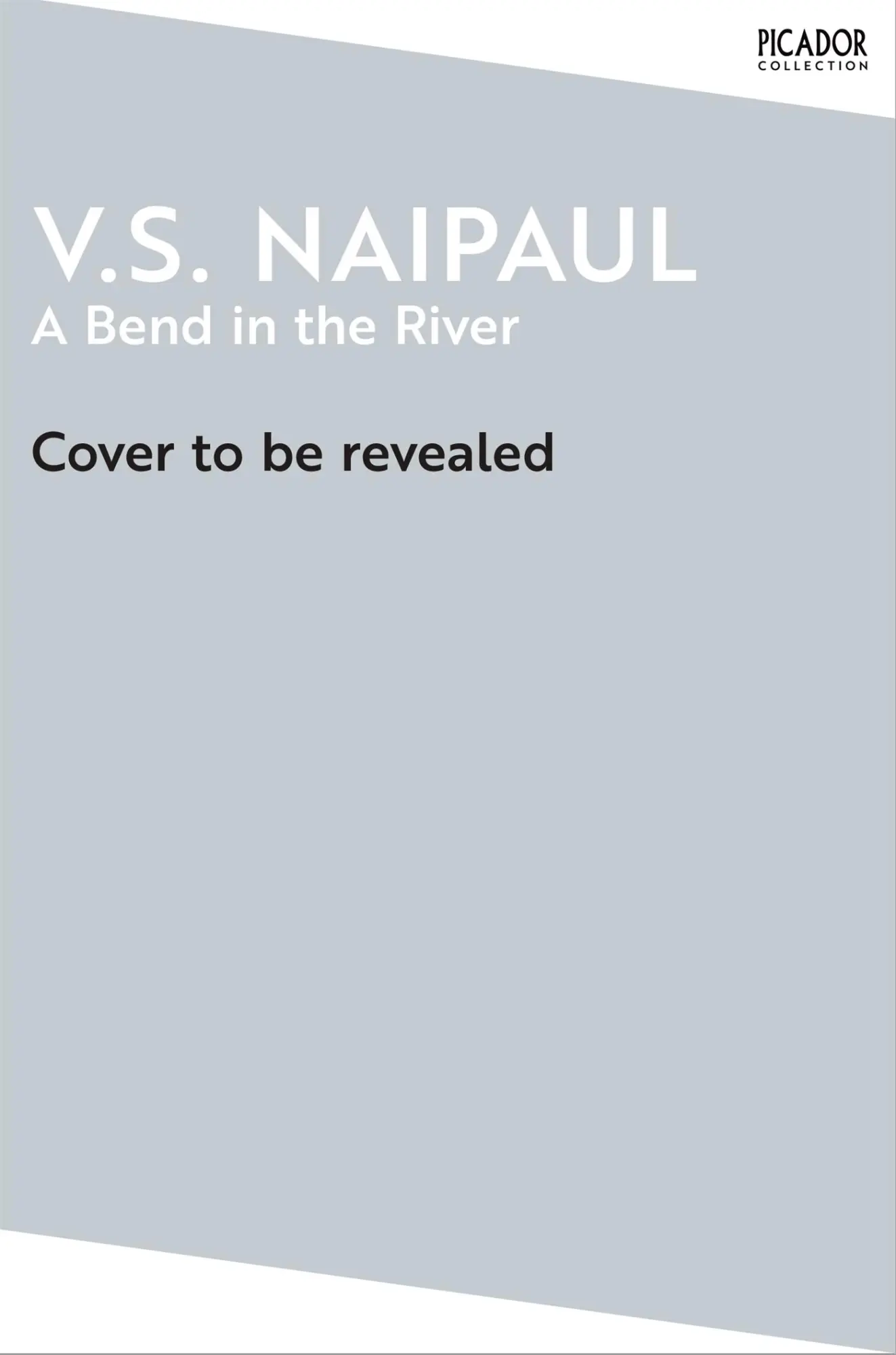 Cover: 9781035039258 | A Bend in the River | V. S. Naipaul | Taschenbuch | Englisch | 2024