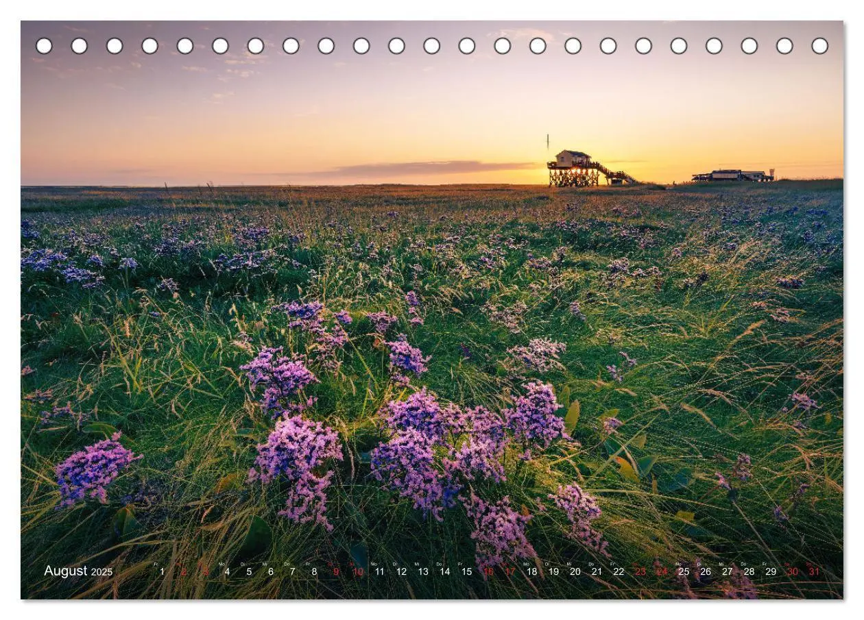 Bild: 9783383869358 | Nordseeurlaub in St. Peter-Ording (Tischkalender 2025 DIN A5 quer),...