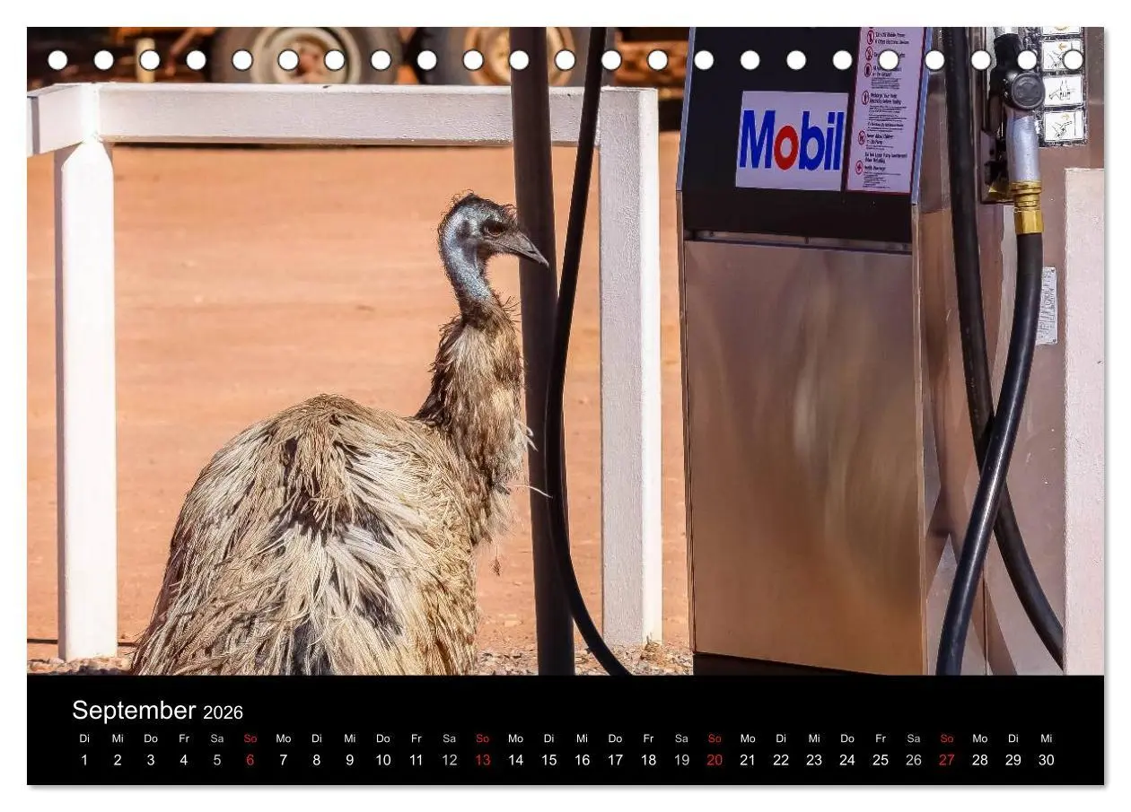 Bild: 9783516069358 | Australien 2026 Natur und Kultur (Tischkalender 2026 DIN A5 quer),...