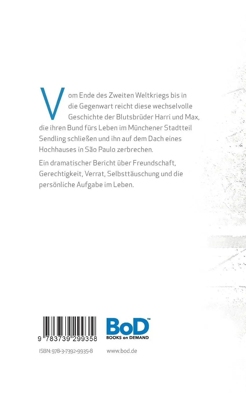 Rückseite: 9783739299358 | Blutsbrüder und Passanten | Roman | Philipp Stoll | Taschenbuch | 2016