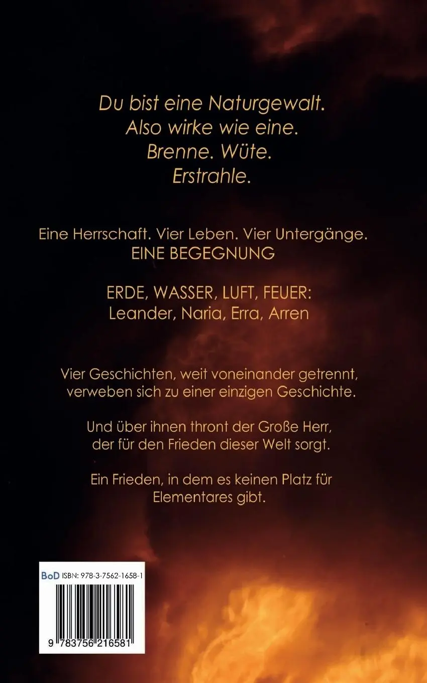 Rückseite: 9783752829358 | Elementares | Begegnung | Johannes Schellhorn | Taschenbuch | 476 S.