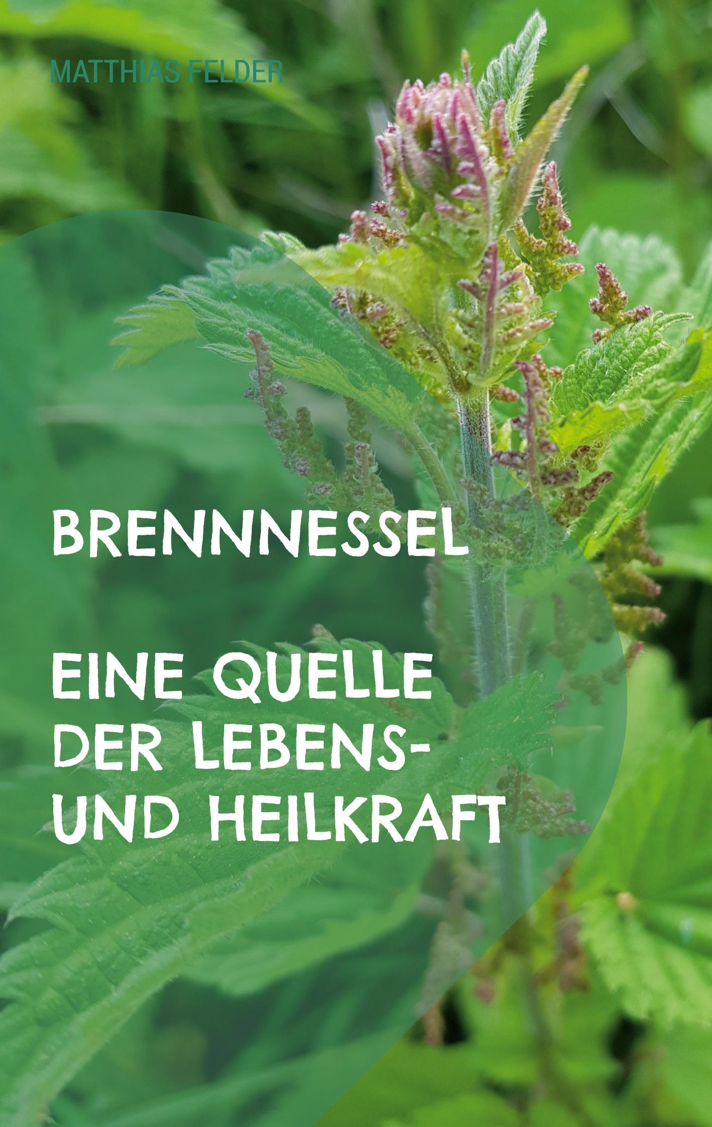 Cover: 9783754359358 | Brennnessel | Eine Quelle der Lebens- und Heilkraft | Matthias Felder