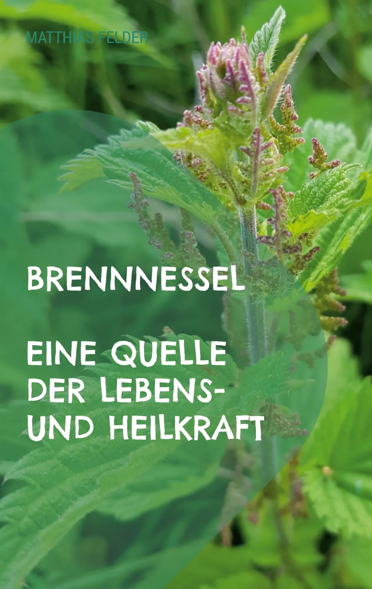 Cover: 9783754359358 | Brennnessel | Eine Quelle der Lebens- und Heilkraft | Matthias Felder