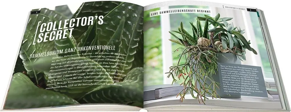 Bild: 9783945429358 | Sukkulenten mit Style | Originell und dauerhaft gestalten | Buch