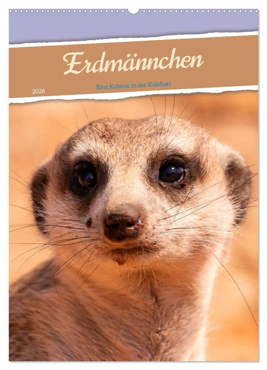 Cover: 9783516299458 | Erdmännchen - Eine Kolonie in der Kalahari (Wandkalender 2026 DIN...