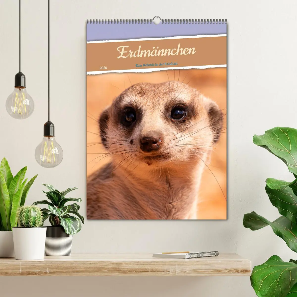 Bild: 9783516299458 | Erdmännchen - Eine Kolonie in der Kalahari (Wandkalender 2026 DIN...