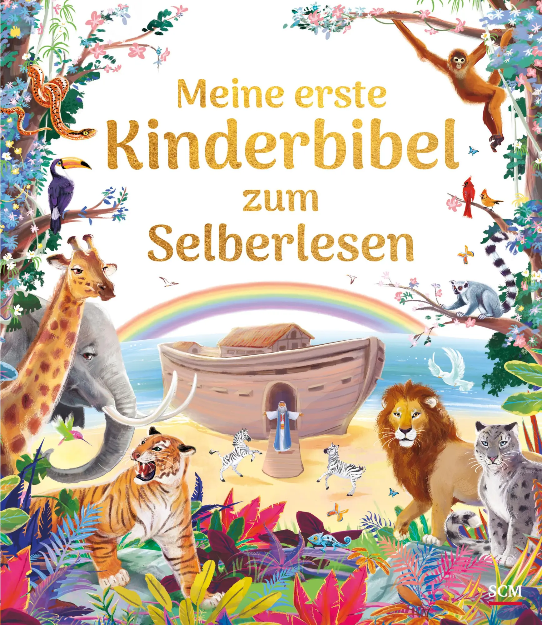 Cover: 9783417289558 | Meine erste Kinderbibel zum Selberlesen | Damaris Müller | Buch | 2024
