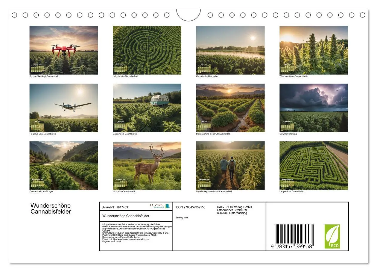 Bild: 9783457339558 | Wunderschöne Cannabisfelder (Wandkalender 2026 DIN A4 quer),...
