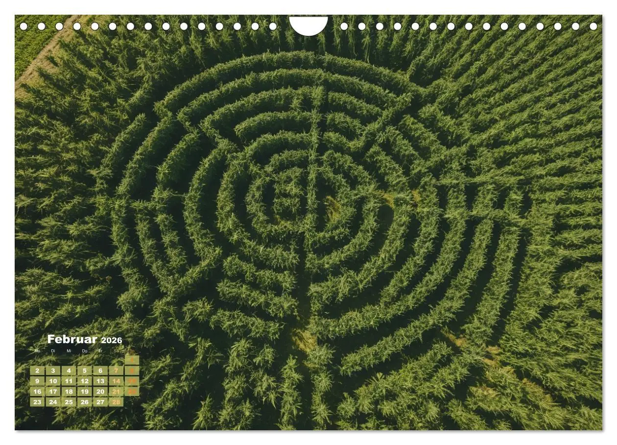 Bild: 9783457339558 | Wunderschöne Cannabisfelder (Wandkalender 2026 DIN A4 quer),...