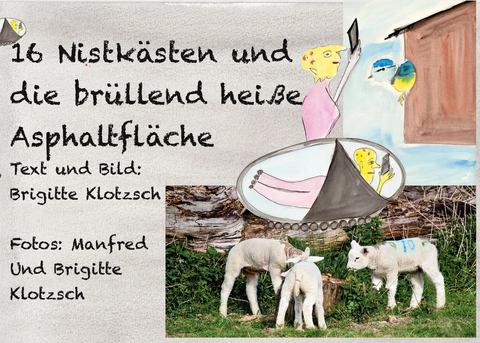Sechszehn Nistkästen und die brüllend heiße Asphaltfläche