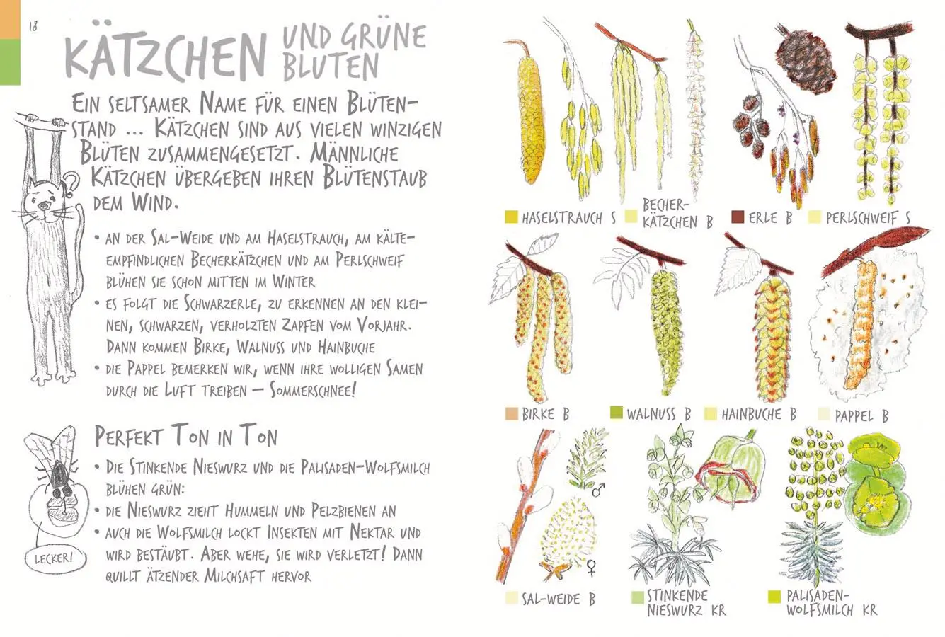 Bild: 9783818619558 | Ich sehe was, was ich nicht kenn´ | Marine Cressy (u. a.) | Buch