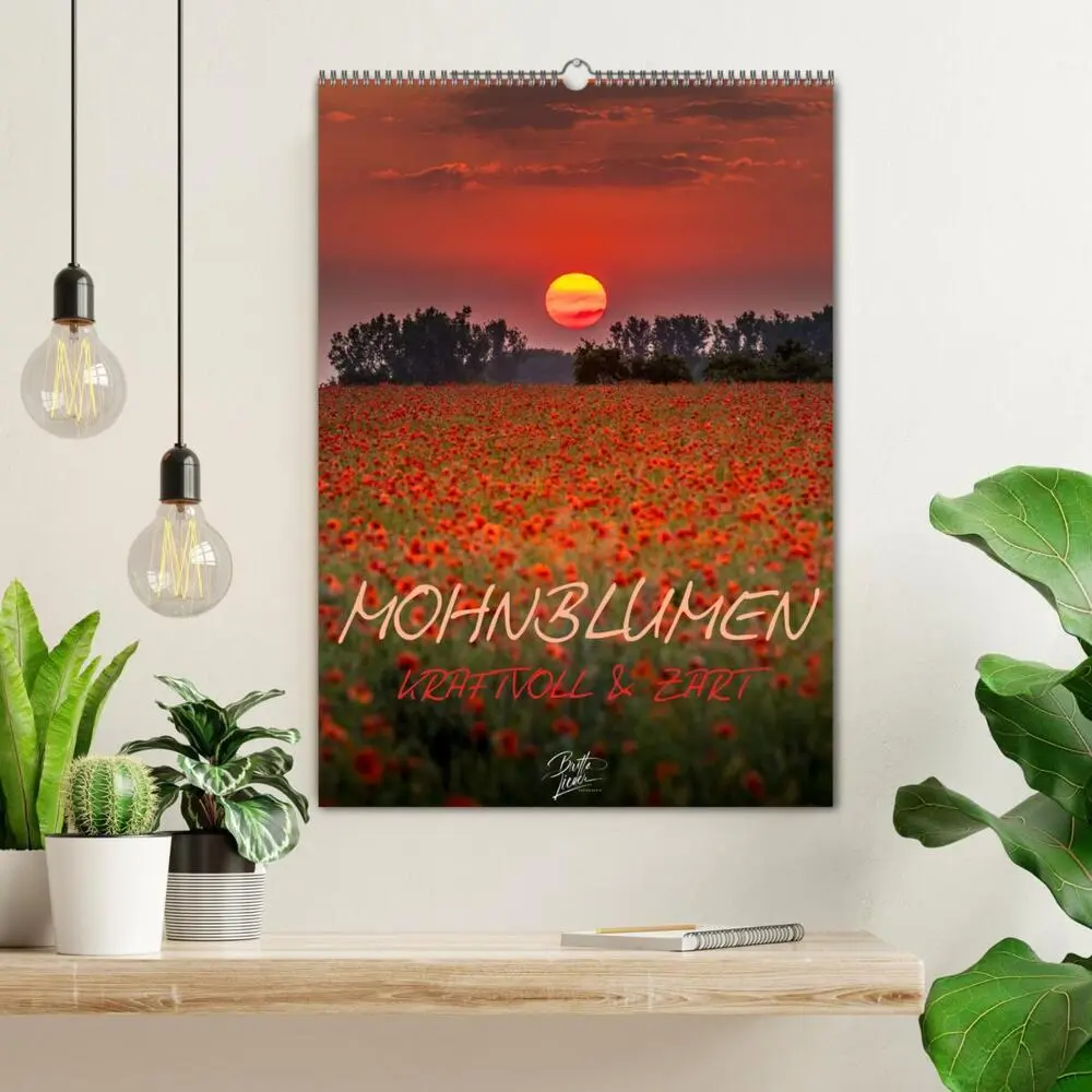 Bild: 9783435919758 | Mohnblumen - kraftvoll und zart (Wandkalender 2025 DIN A2 hoch),...