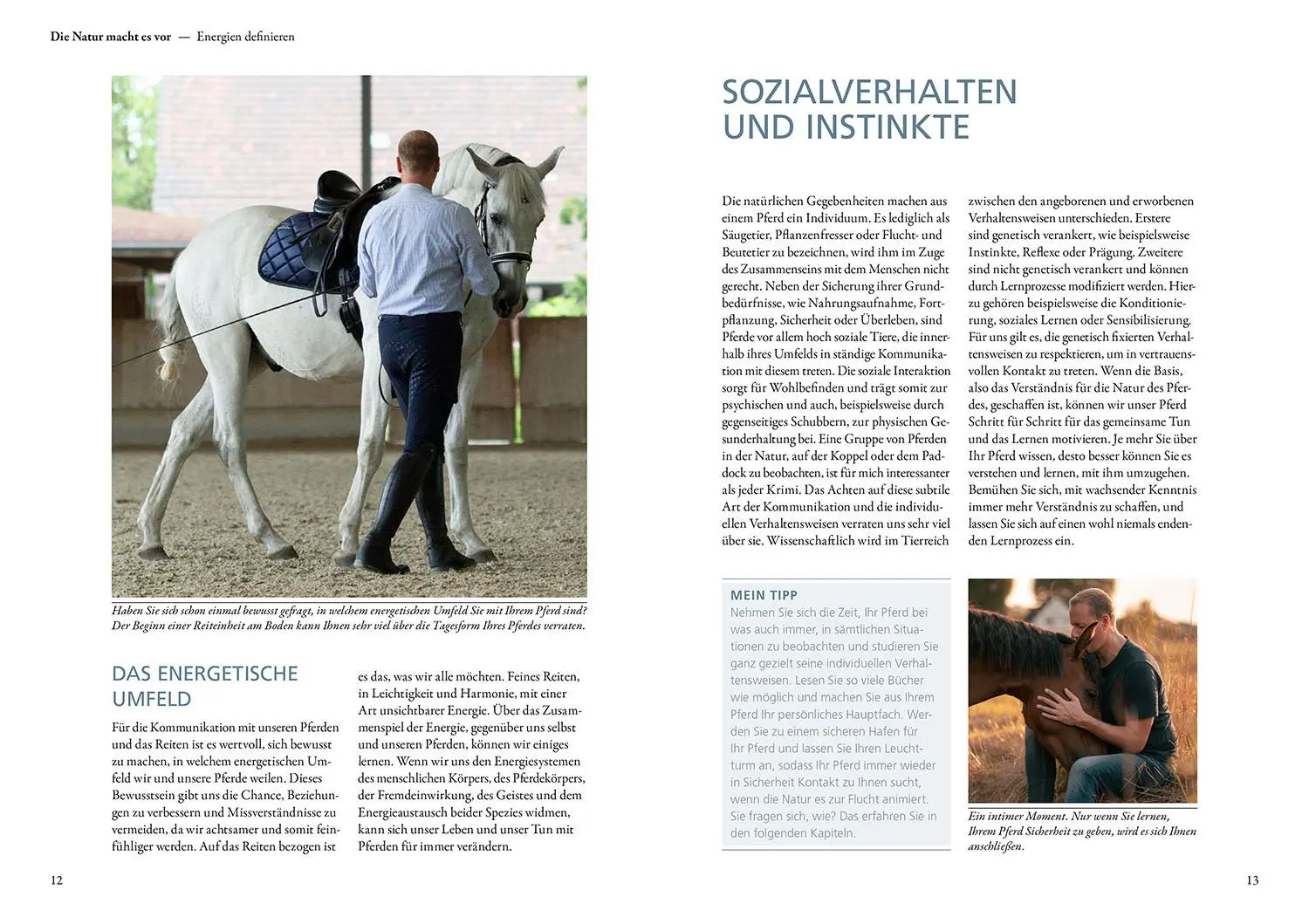 Bild: 9783440179758 | Das Spiel mit der Energie | Marvin Vroomen | Buch | 144 S. | Deutsch
