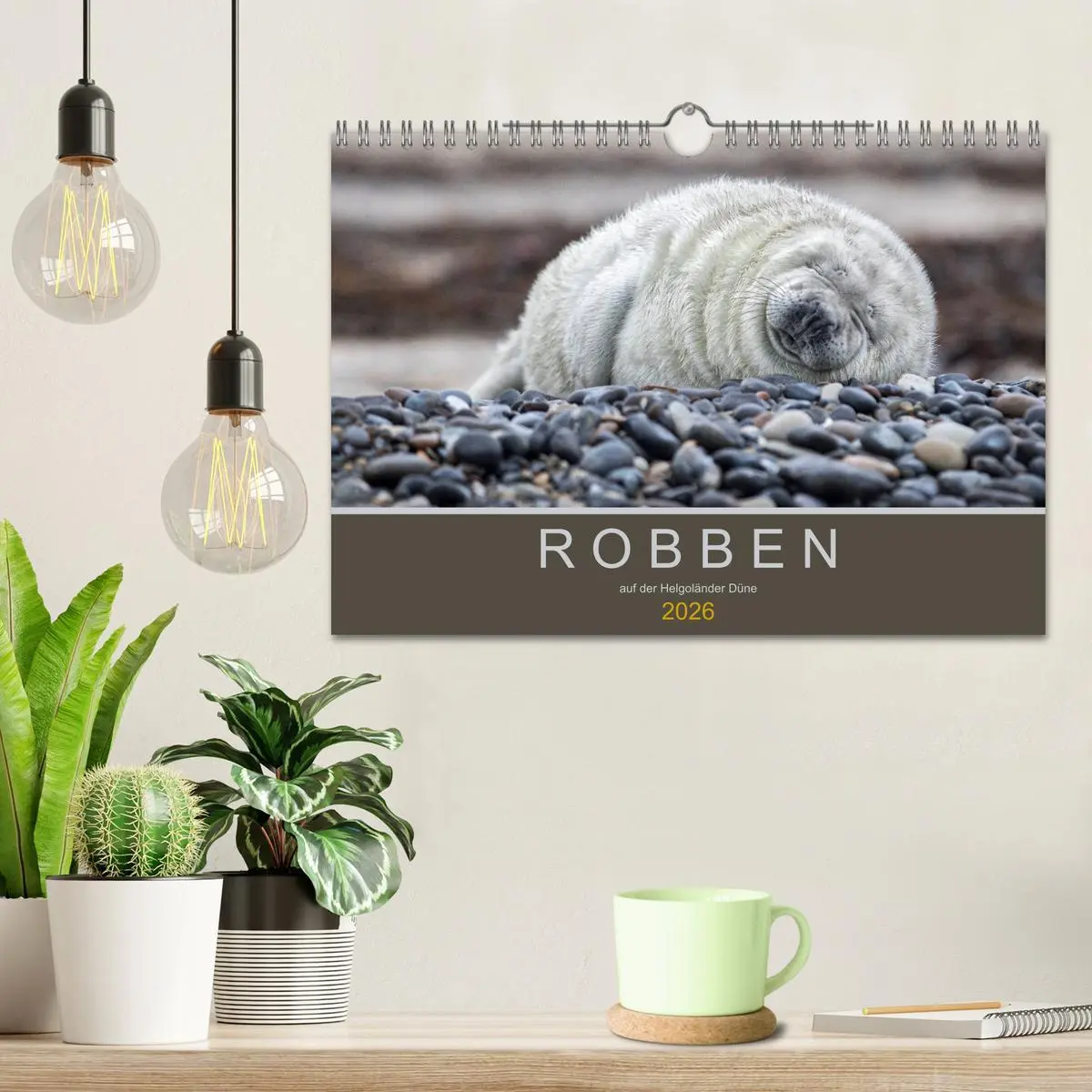 Bild: 9783457939758 | Robben auf der Helgoländer Düne (Wandkalender 2026 DIN A4 quer),...