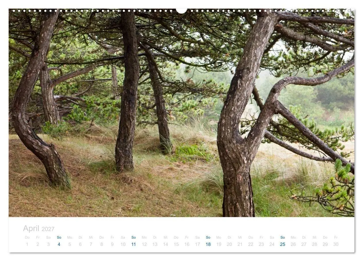 Bild: 9783594229958 | Ameland (Wandkalender 2027 DIN A2 quer), CALVENDO Monatskalender
