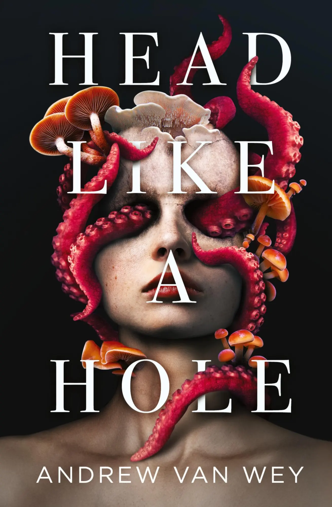 Cover: 9781956050059 | Head Like a Hole | A Novel of Horror | Andrew van Wey | Taschenbuch