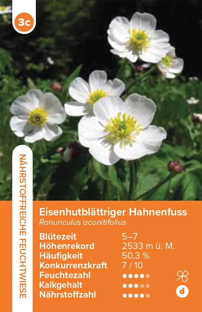 Bild: 9783258800059 | Lebensräume Wiesen und Weiden - das Quartett-Spiel | Info Flora | 2025