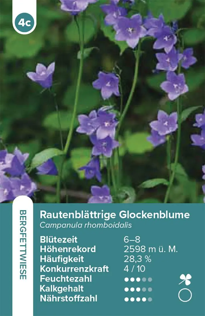 Bild: 9783258800059 | Lebensräume Wiesen und Weiden - das Quartett-Spiel | Info Flora | 2025