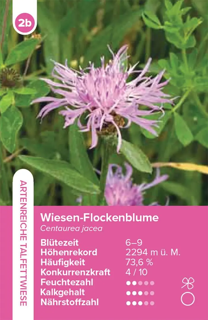 Bild: 9783258800059 | Lebensräume Wiesen und Weiden - das Quartett-Spiel | Info Flora | 2025