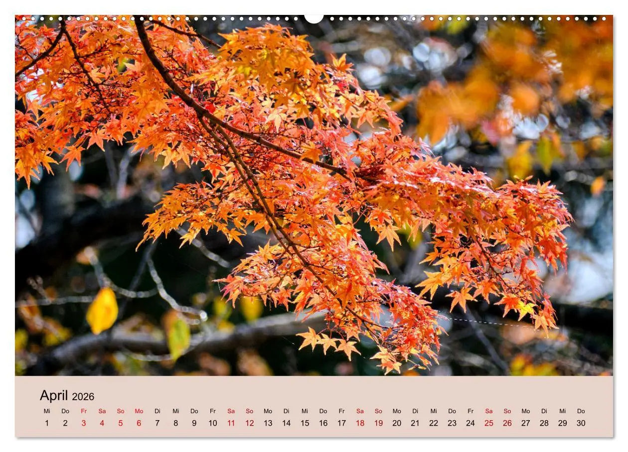 Bild: 9783457270059 | Japan im Herbst (hochwertiger Premium Wandkalender 2026 DIN A2...