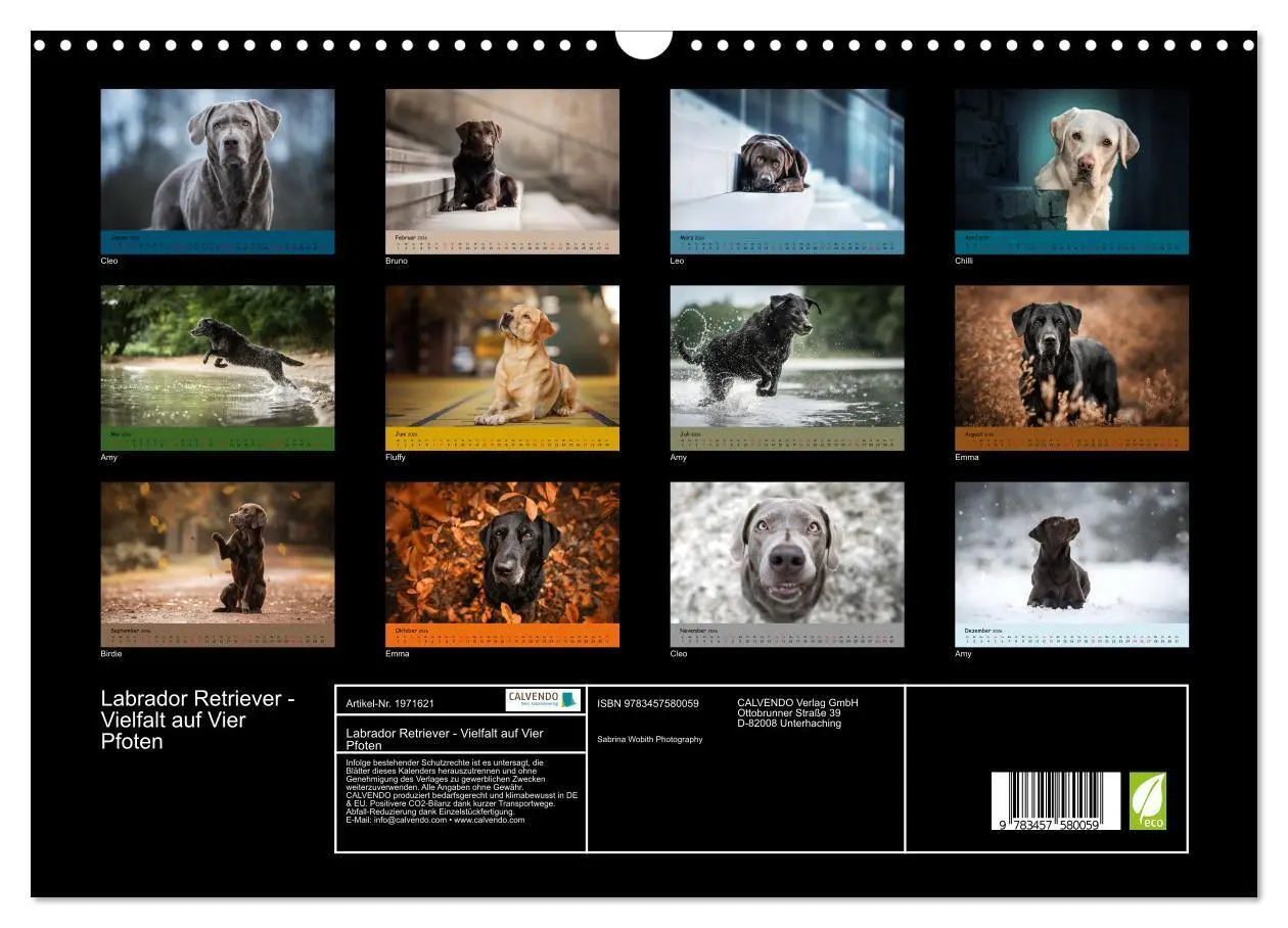 Bild: 9783457580059 | Labrador Retriever - Vielfalt auf Vier Pfoten (Wandkalender 2026...