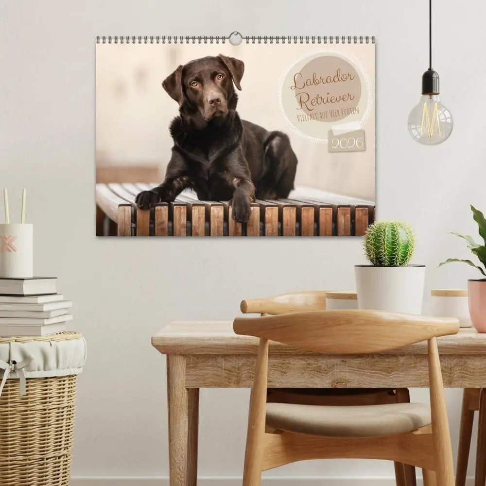 Bild: 9783457580059 | Labrador Retriever - Vielfalt auf Vier Pfoten (Wandkalender 2026...