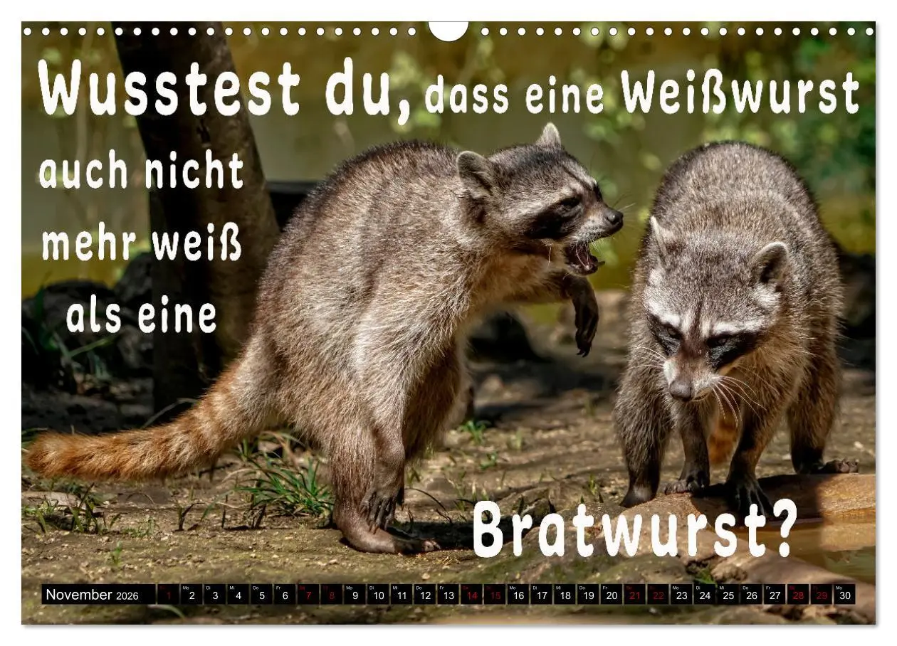 Bild: 9783457650059 | Spruchreif - Gute-Laune-Kalender (Wandkalender 2026 DIN A3 quer),...