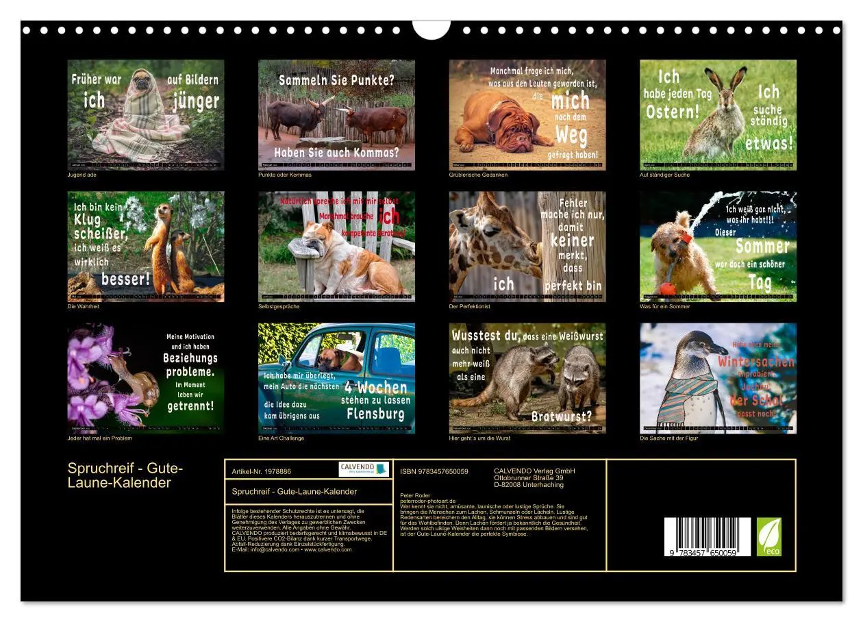 Bild: 9783457650059 | Spruchreif - Gute-Laune-Kalender (Wandkalender 2026 DIN A3 quer),...