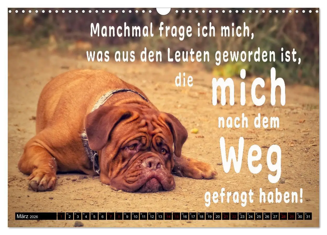 Bild: 9783457650059 | Spruchreif - Gute-Laune-Kalender (Wandkalender 2026 DIN A3 quer),...