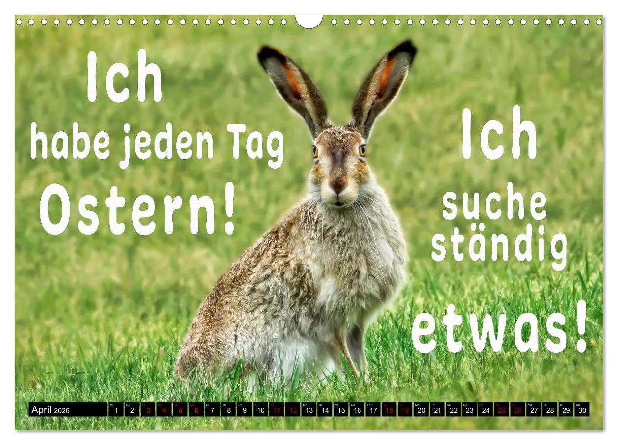 Bild: 9783457650059 | Spruchreif - Gute-Laune-Kalender (Wandkalender 2026 DIN A3 quer),...