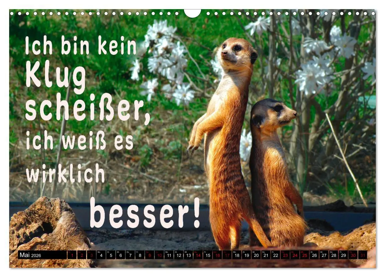 Bild: 9783457650059 | Spruchreif - Gute-Laune-Kalender (Wandkalender 2026 DIN A3 quer),...