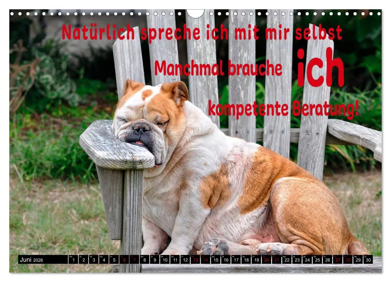 Bild: 9783457650059 | Spruchreif - Gute-Laune-Kalender (Wandkalender 2026 DIN A3 quer),...